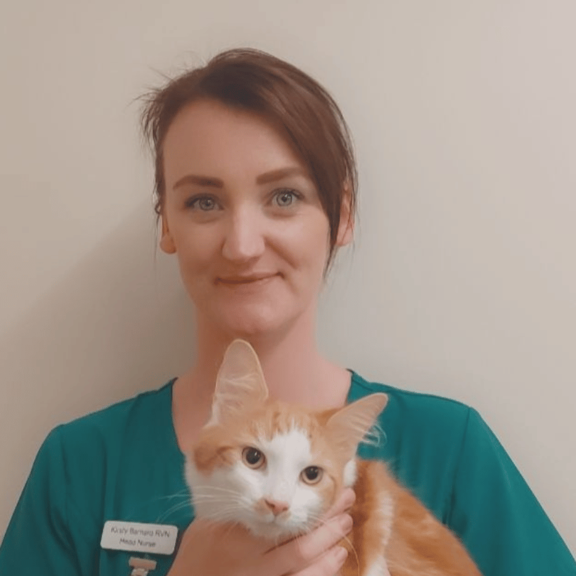 Image shows Kirsty Barnard smiling holding a ginger and white cat