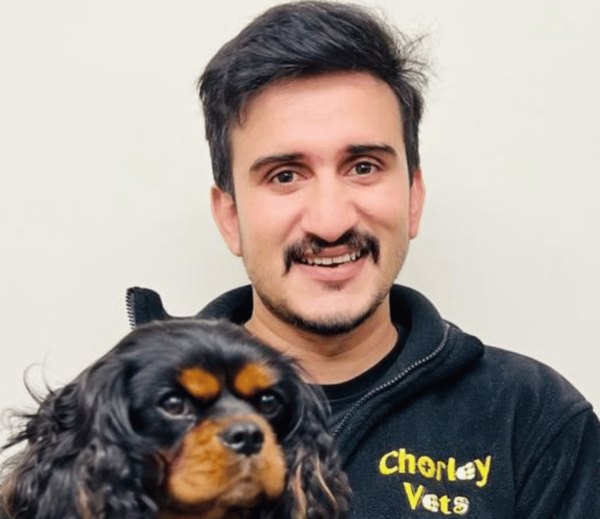 Image showing male vet at Chorley vets holding a spaniel