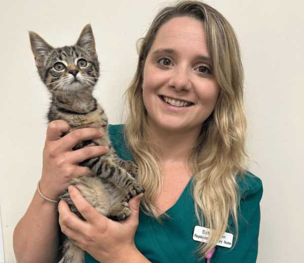 Smiling female veterinary nurse holding a tabby kitten