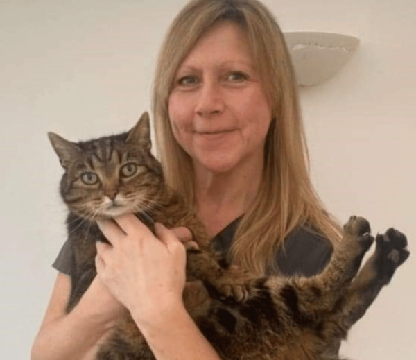 Image shows Blonde female veterinary receptionist at Chorley Vets holding a big cuddly tabby cat