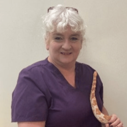 Image shows Chorley vets Finance officer holding an orange snake