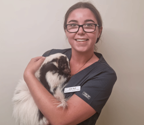 image shows female auxiliary support staff wearing glasses and smiling holding a skunk