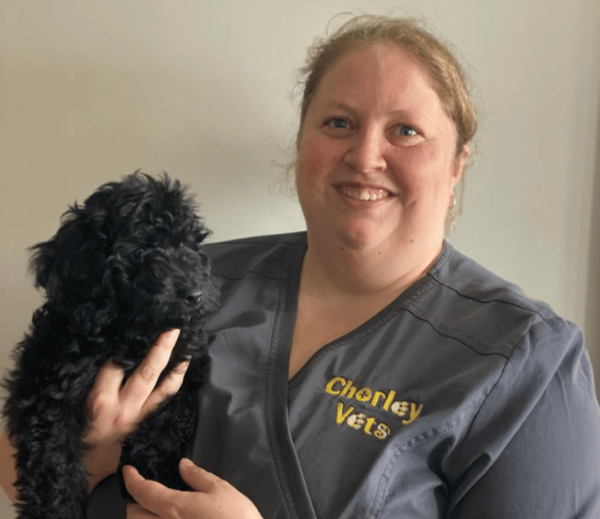 Image shows Veterinary care assistant at Chorley vets smiling holding a black toy poodle