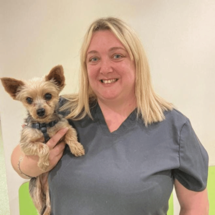 image shows blonde vet receptionist lady holding a little dog