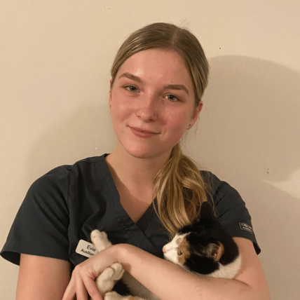 Image shows young female auxiliary assistant at Chorley vets holding a tortoise shell cat