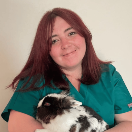 Female veterinary nurse at chorley vets holding a black and white rabbit