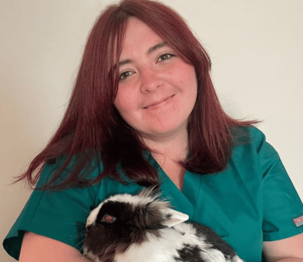 Female veterinary nurse at chorley vets holding a black and white rabbit