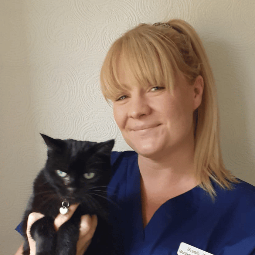 Image shows smiling female student veterinary nurse holding a black cat