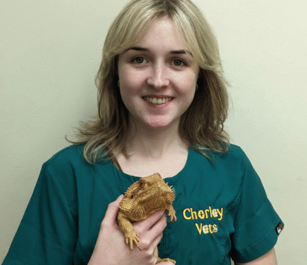 Image shows female veterinary nurse at Chorley vets holding an Iguana