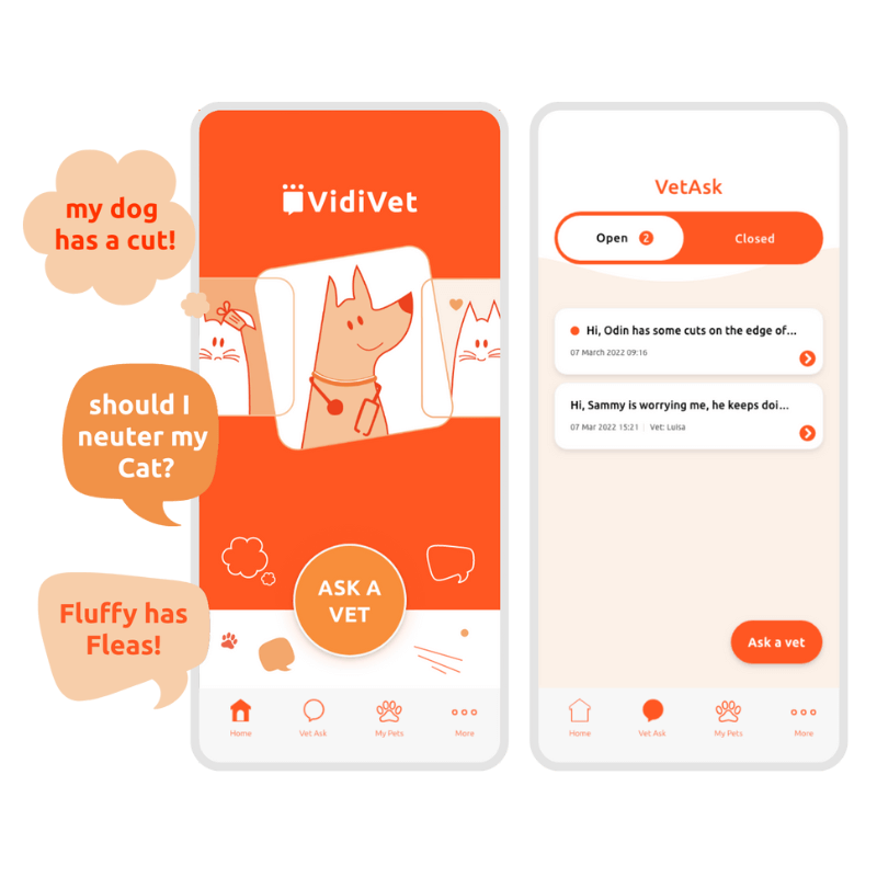 how VidiVet will look on a mobile phone