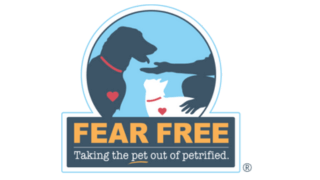fear-free-practice-chorley-vets
