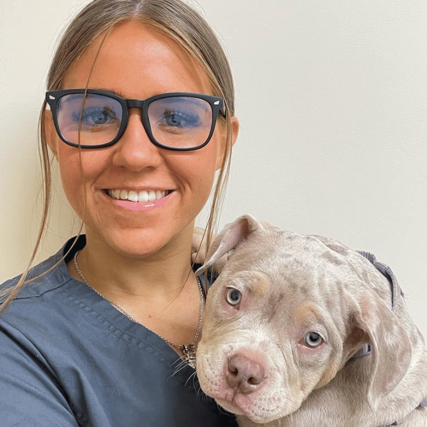 Image shows female veterinary nurse wearing glassed holding a cute grey puppy with blue eyes alt Chorley Vets