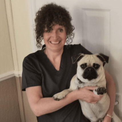 Image shows Receptionist at Chorley vets smiling holding a Pug