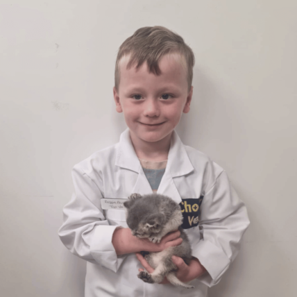 Image shows child dressed up as a vet at Chorley vets holding a kitten