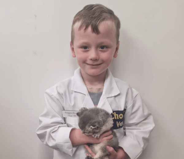 Image shows child dressed up as a vet at Chorley vets holding a kitten