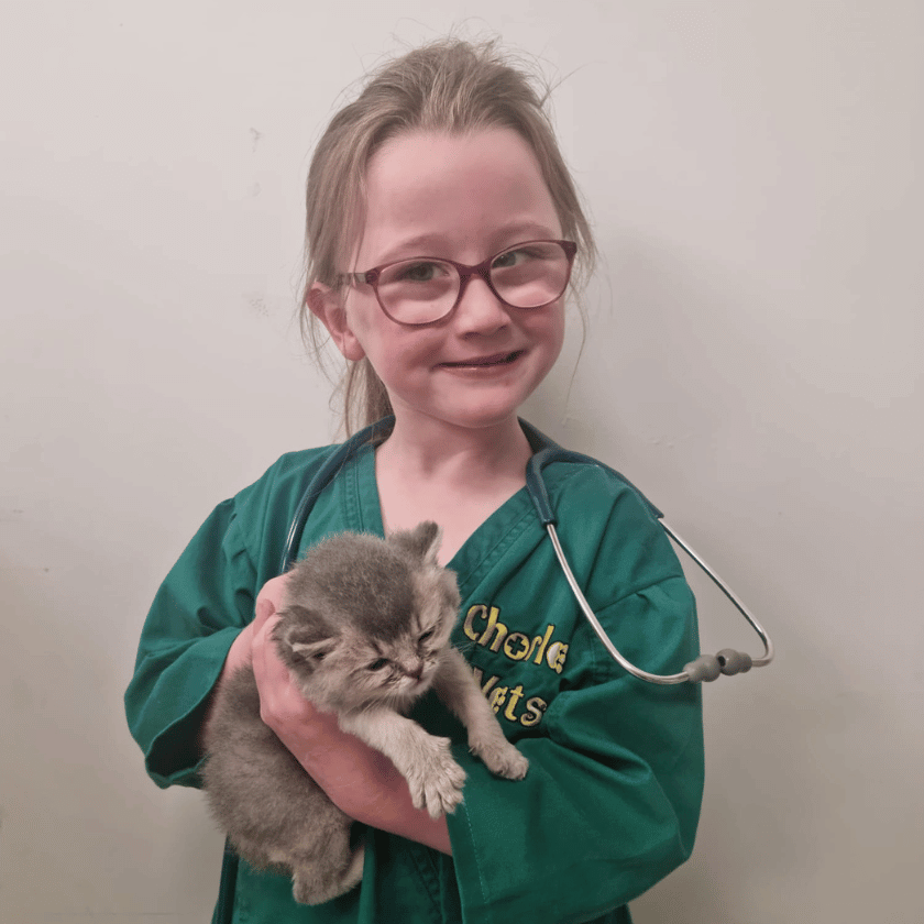 Image shows little girl with glasses dressed as a vet holding a kitten
