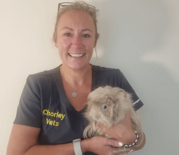 Leanne Gillett – Head Receptionist at Chorley Vets holding a Guinea pig