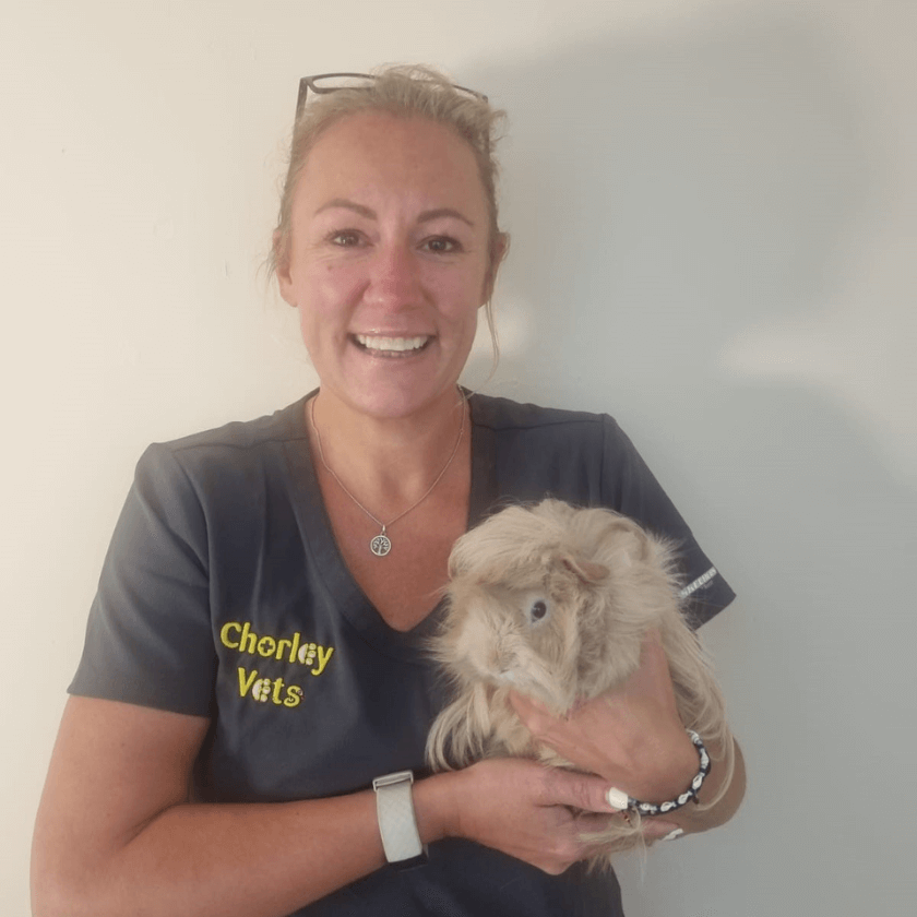 Leanne Gillett – Head Receptionist at Chorley Vets holding a Guinea pig