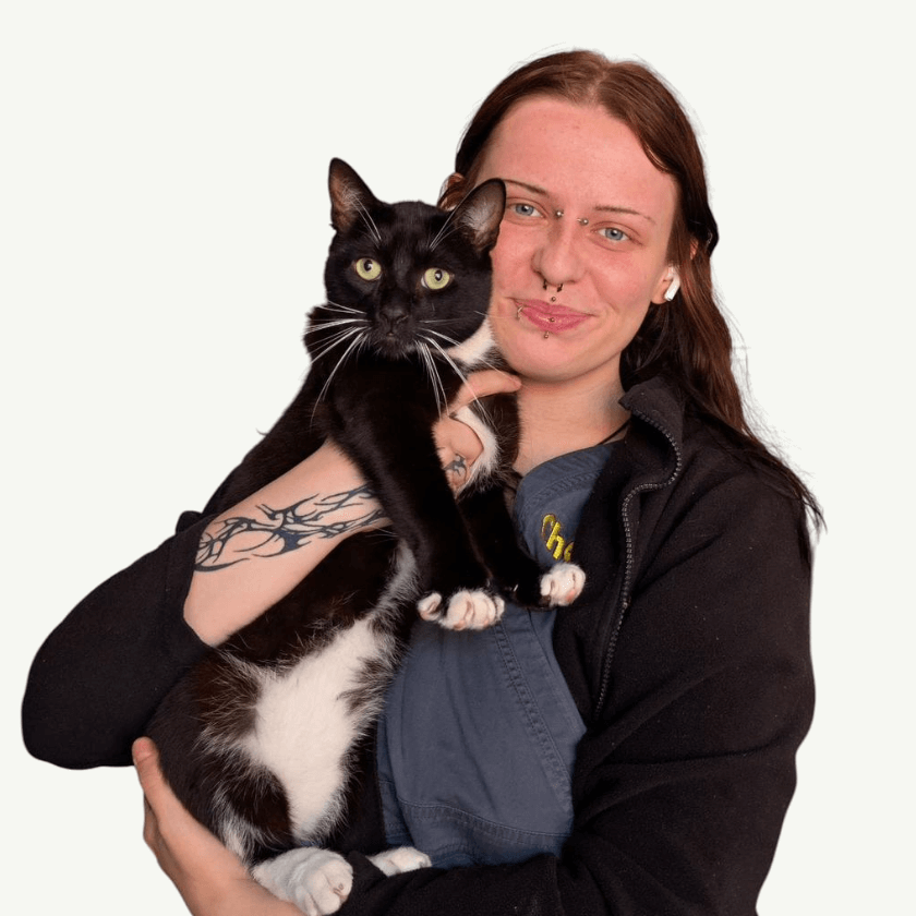 Ella-Morgan Rudd – Chorley Vets Receptionist with a black and white cat