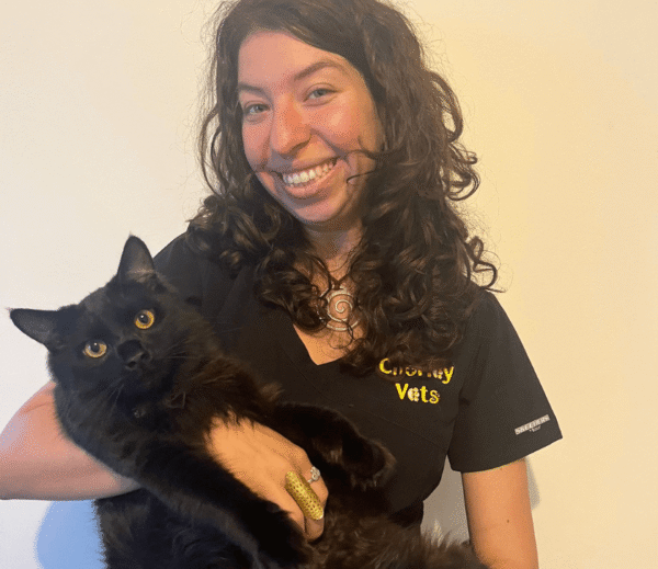 Calypso Bressan – Veterinary Surgeon BVSc MRCVS at Chorley Vets