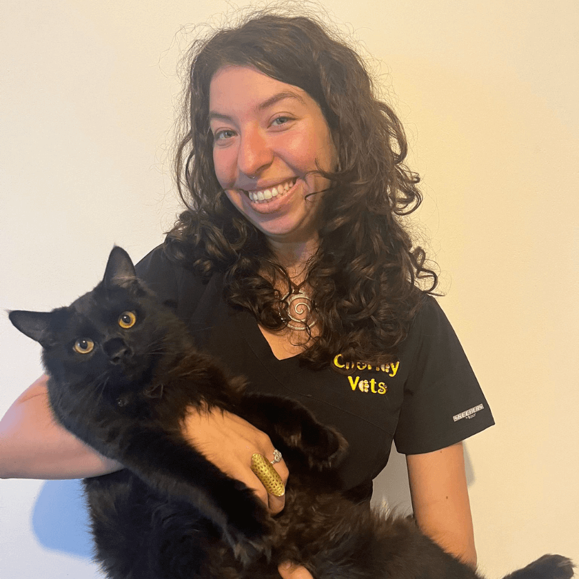 Calypso Bressan – Veterinary Surgeon BVSc MRCVS at Chorley Vets