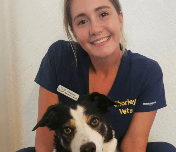 Leah Finnigan, student veterinary nurse at Chorley Vets