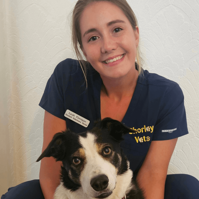 Leah Finnigan, student veterinary nurse at Chorley Vets