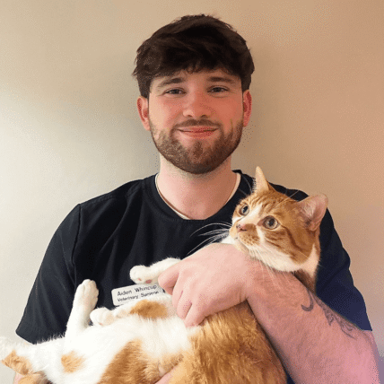 Veterinary surgeon wearing a name badge holds an orange and white cat, both facing the camera against a plain indoor background.