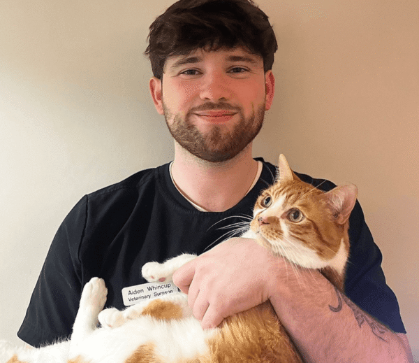 Veterinary surgeon wearing a name badge holds an orange and white cat, both facing the camera against a plain indoor background.