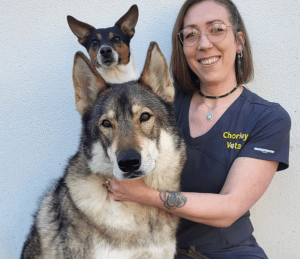 A person in scrubs with glasses smiles while kneeling next to a large wolf-like dog, with a smaller dog perched on the large dog's back.