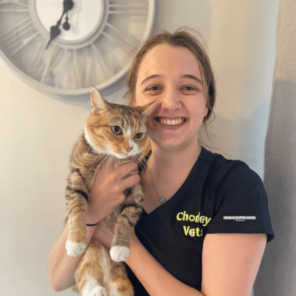 Veterinary surgeon from Chorley Vets smiling while holding a tabby cat with white paws