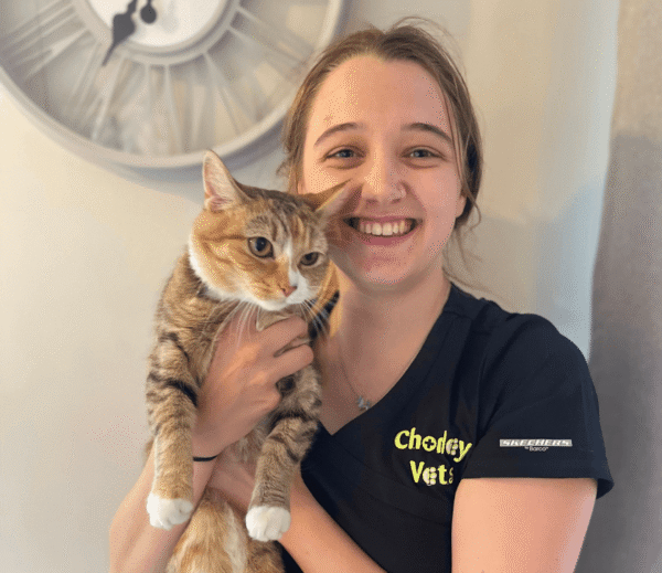 Veterinary surgeon from Chorley Vets smiling while holding a tabby cat with white paws