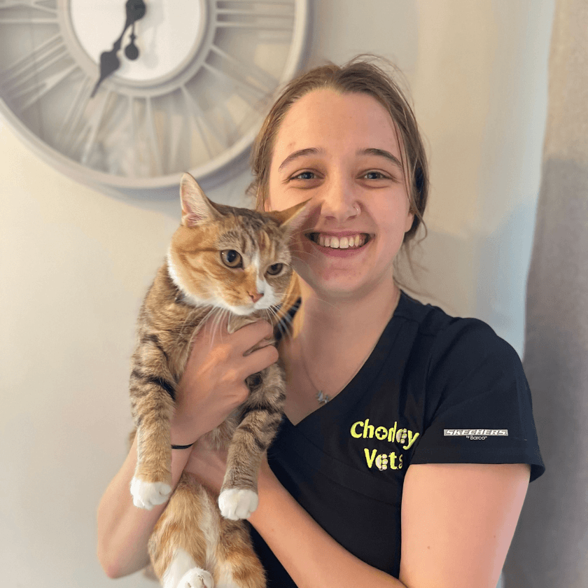 Veterinary surgeon from Chorley Vets smiling while holding a tabby cat with white paws
